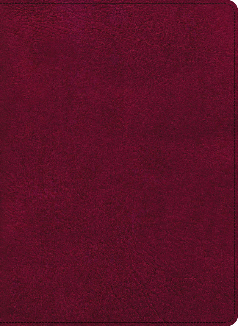 CSB Holy Land Illustrated Bible-Burgundy LeatherTouch Indexed