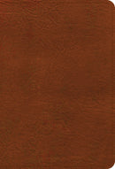 NASB 2020 Large Print Compact Reference Bible-Burnt Sienna Leathertouch
