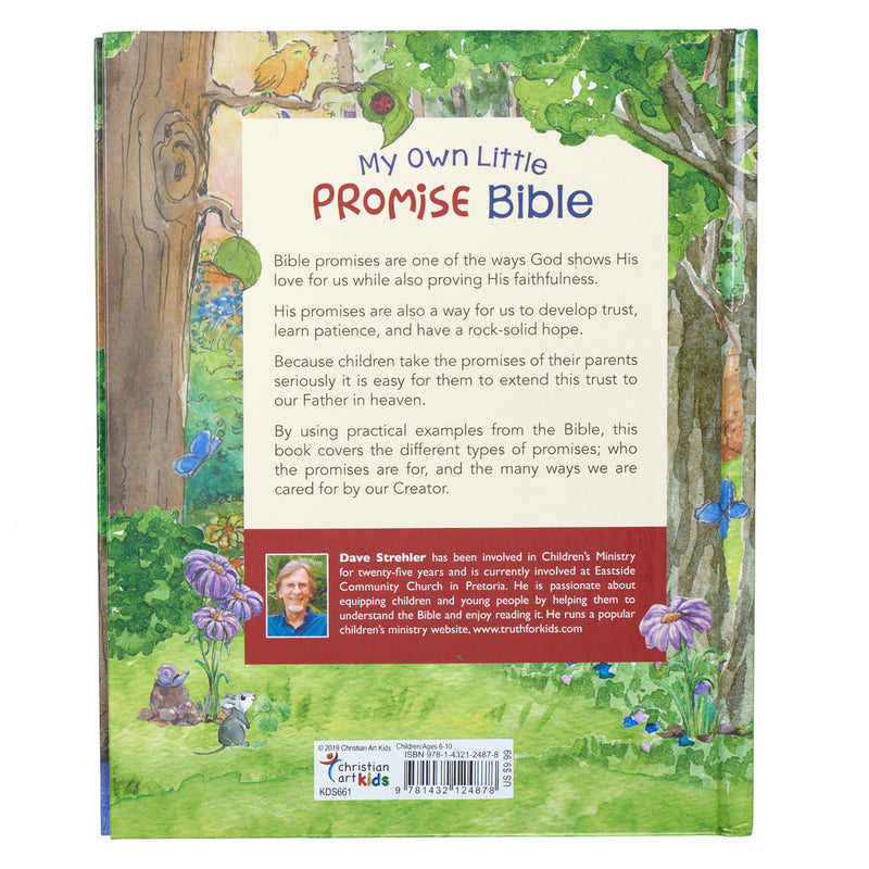 My own promise bible
