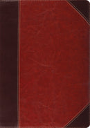 ESV Study Bible-Brown Cordovan Portfolio Design TruTone Indexed