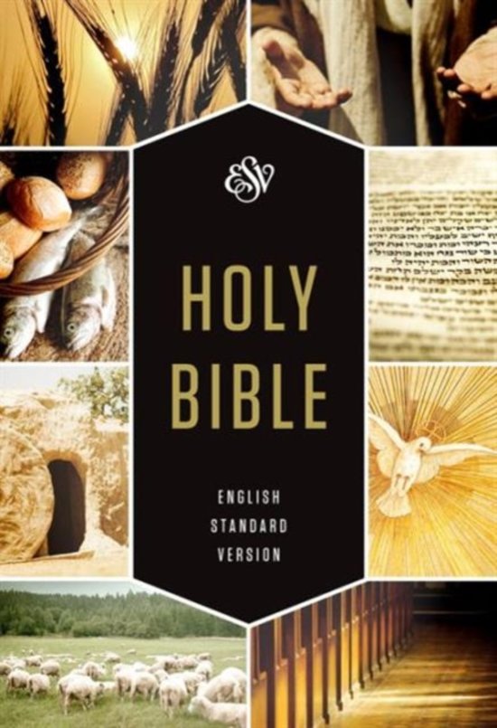 Bible - text book edition -hc