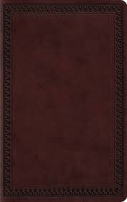ESV Large Print Value Thinline Bible-Mahogany Border Design TruTone