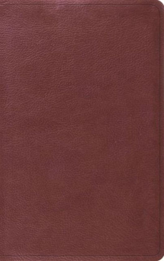 Thinline bible -  burgundy