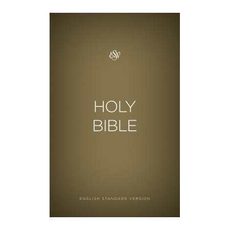 Outreach Bible - Gold