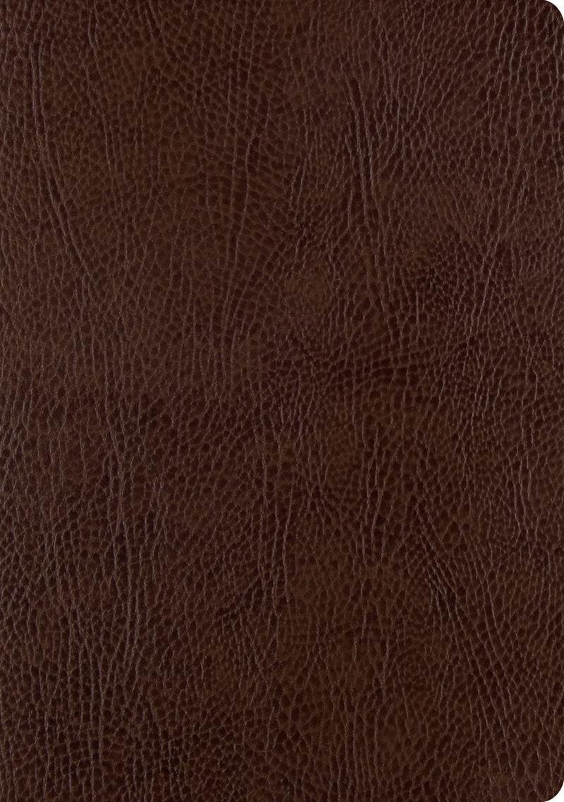 ESV Single Column Journaling Bible/Large Print-Mocha Bonded Leather
