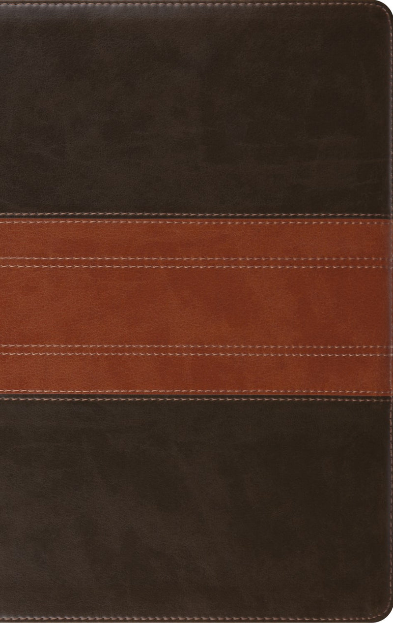 ESV Large Print Personal Size Bible-Forest/Tan Trail Design TruTone
