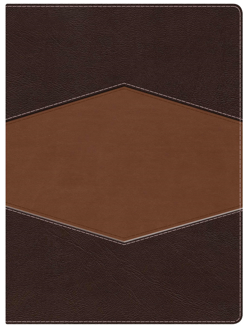 Span-RVR 1960 Holman Study Bible (Full Color)-Sienna/Sand LeatherTouch