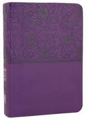 Large print compact bible purple