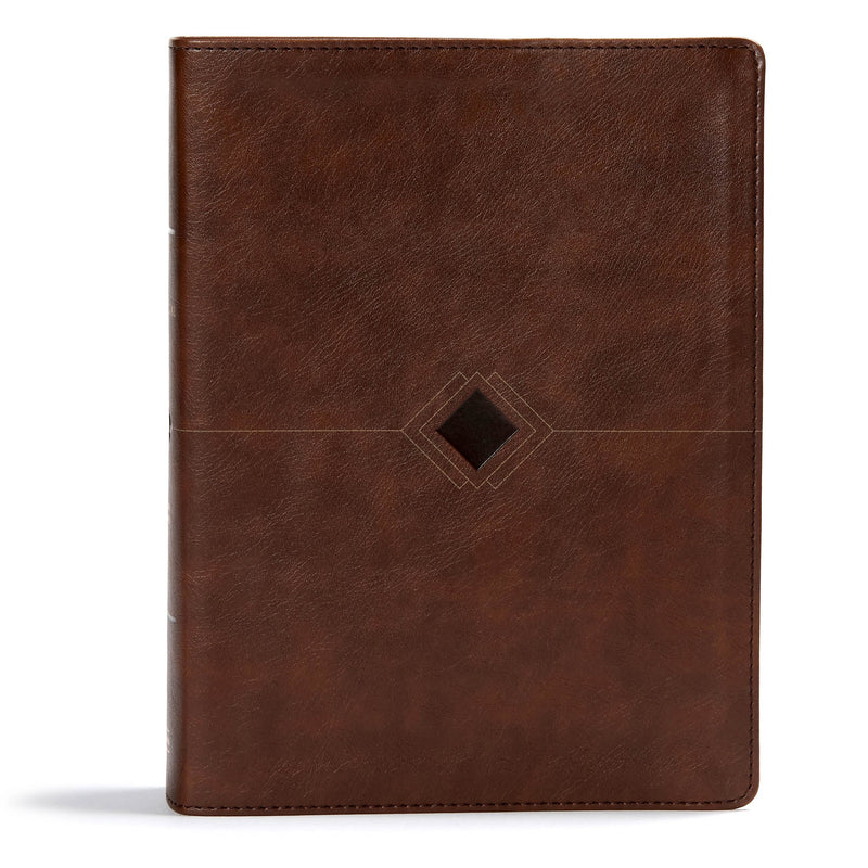 CSB Day-By-Day Chronological Bible-Brown LeatherTouch