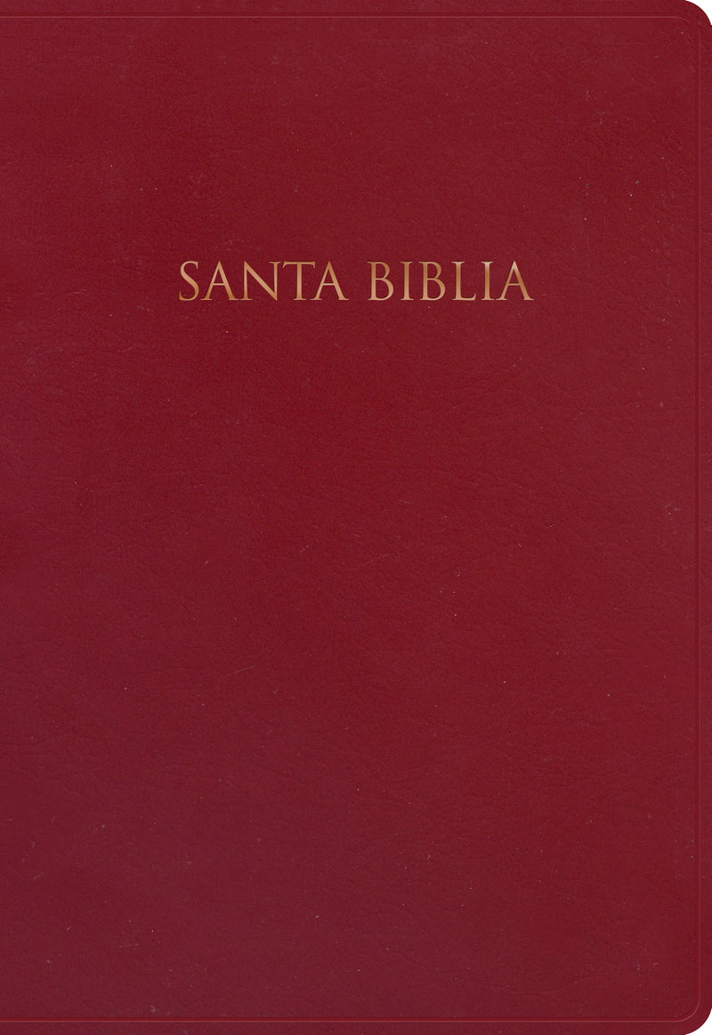 Span-NIV Gift And Award Bible (Biblia Para Regalos Y Premios)-Burgundy Imitation Leather