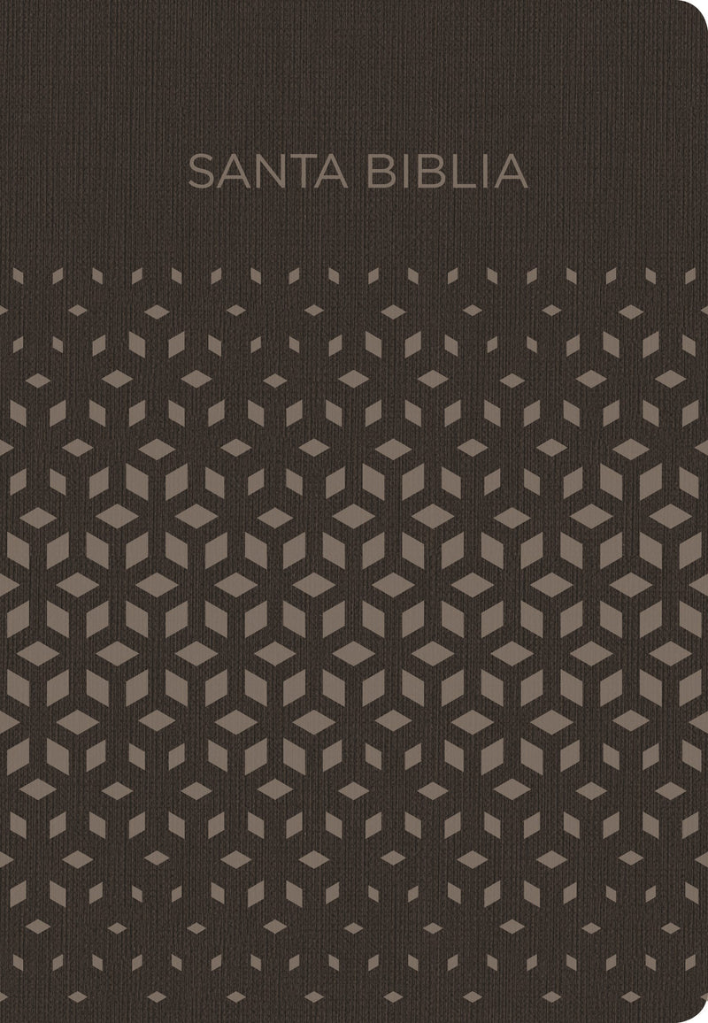 Span-NIV Gift And Award Bible (Biblia Para Regalos Y Premios)-Black/Silver Imitation Leather