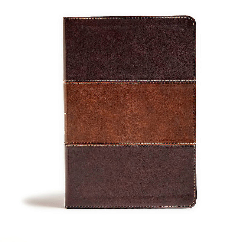 Giant Print Ref. Bible, LuxLeather brown