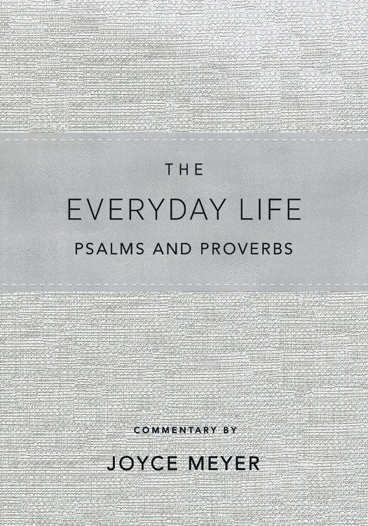 Amplfied New Everyday Life Psalms And Proverbs-Blue Imitation Leather