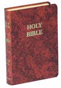 NABRE Fireside Study Bible-Burgundy Leatherflex
