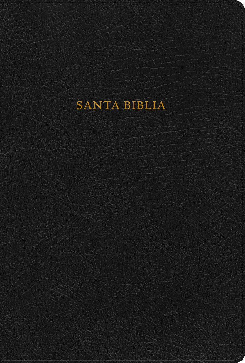 Span-RVR 1960 New Scofield Study Bible-Black Bonded Leather