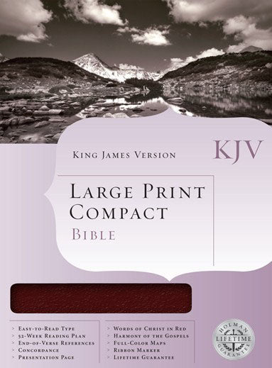 Compact LP Bible - Burgundy