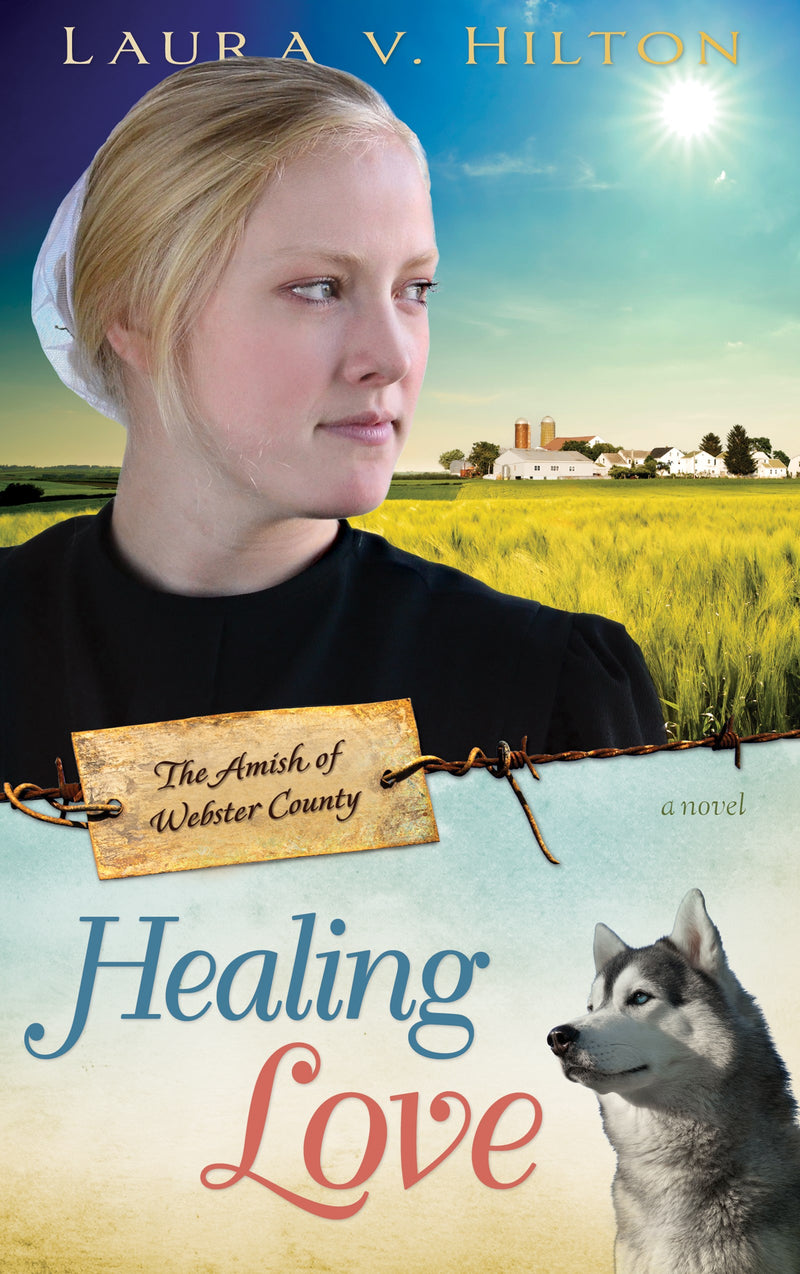 Healing Love (Amish Of Webster County V1) 