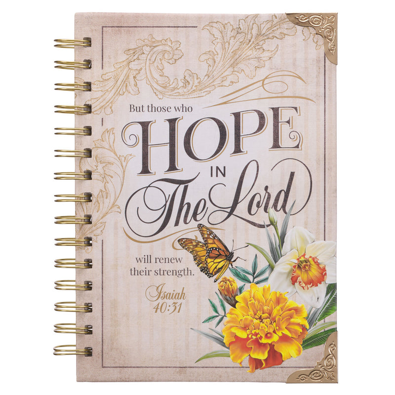 Hope in the LORD  - Isaiah 40:31