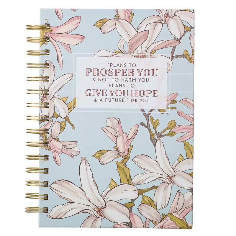 Plans to Prosper You - Jeremiah 29:11