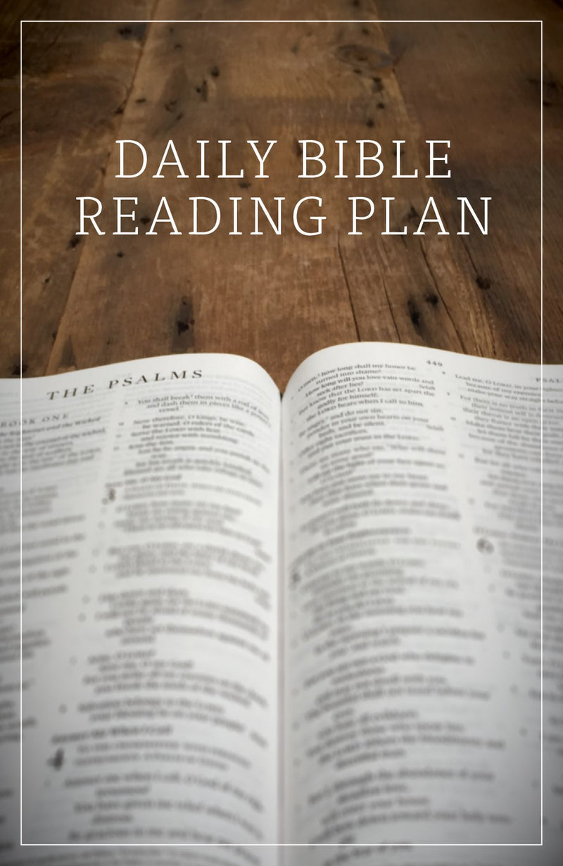 Tract-Daily Bible Reading Plan (Pack Of 25)