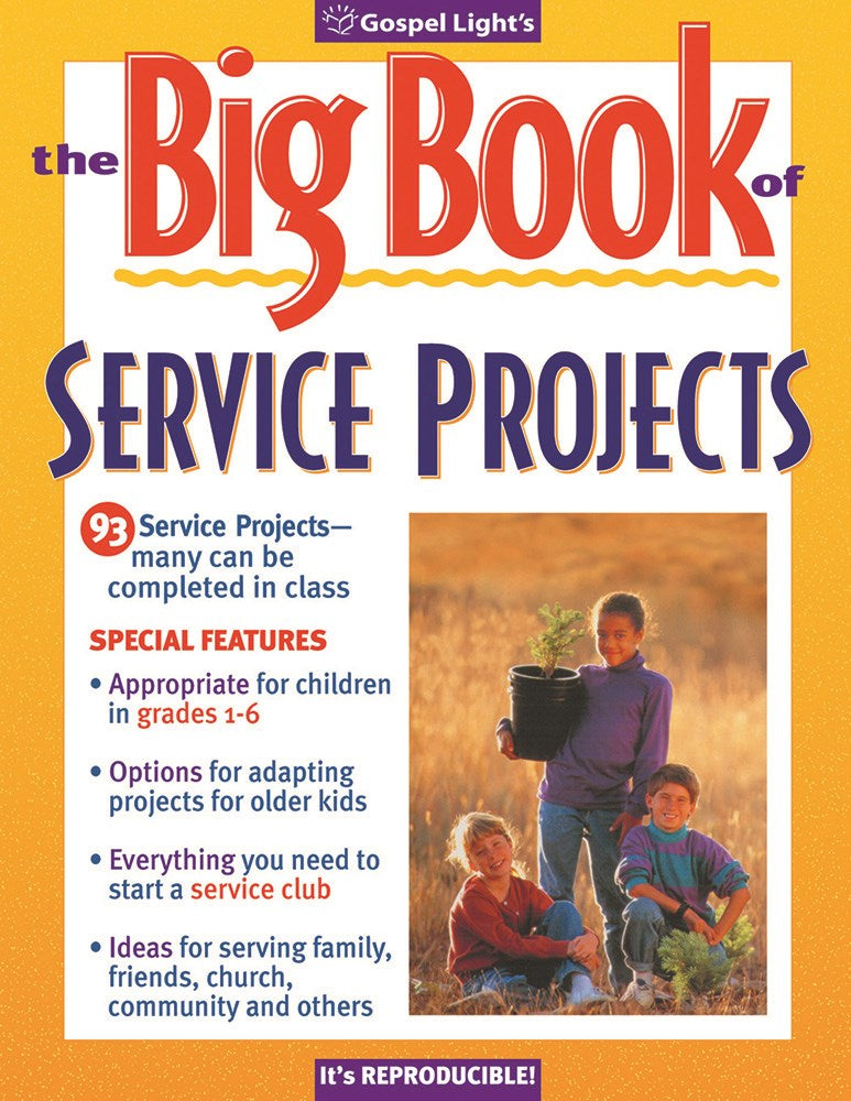 Big Book Of Service Projects (Revised)
