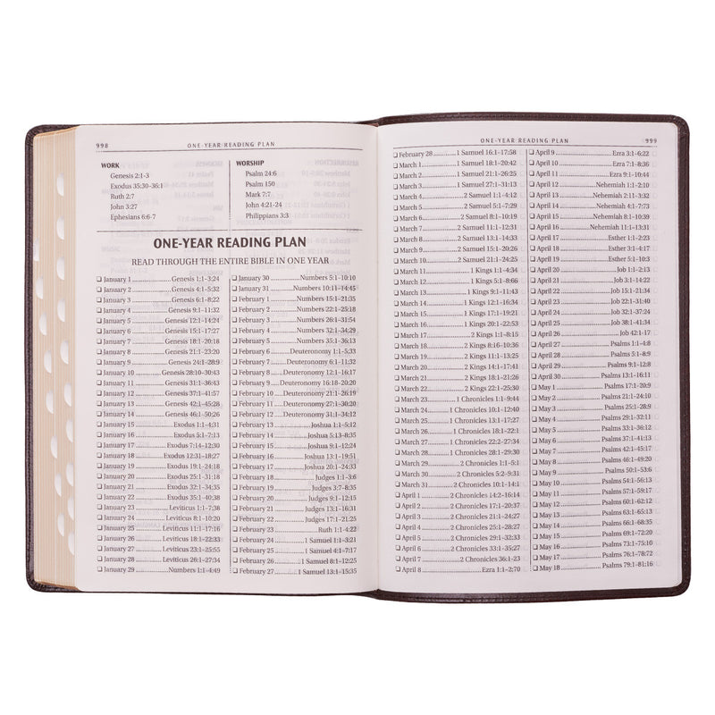Large Print Thinline Bible - Brown
