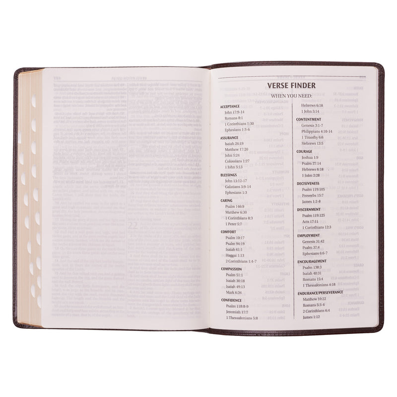 Large Print Thinline Bible - Brown