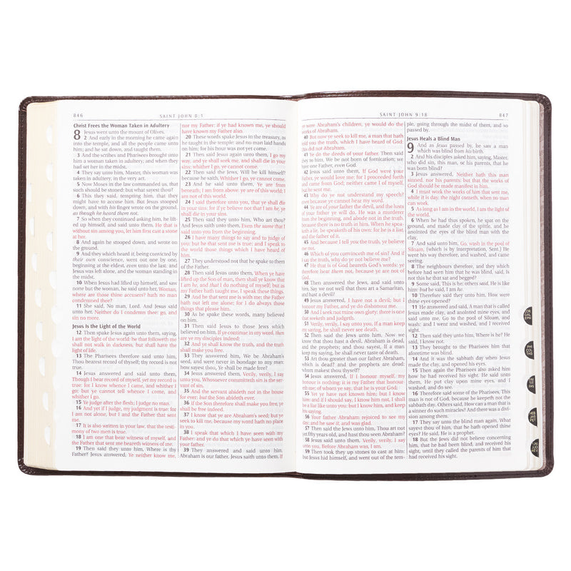 Large Print Thinline Bible - Brown
